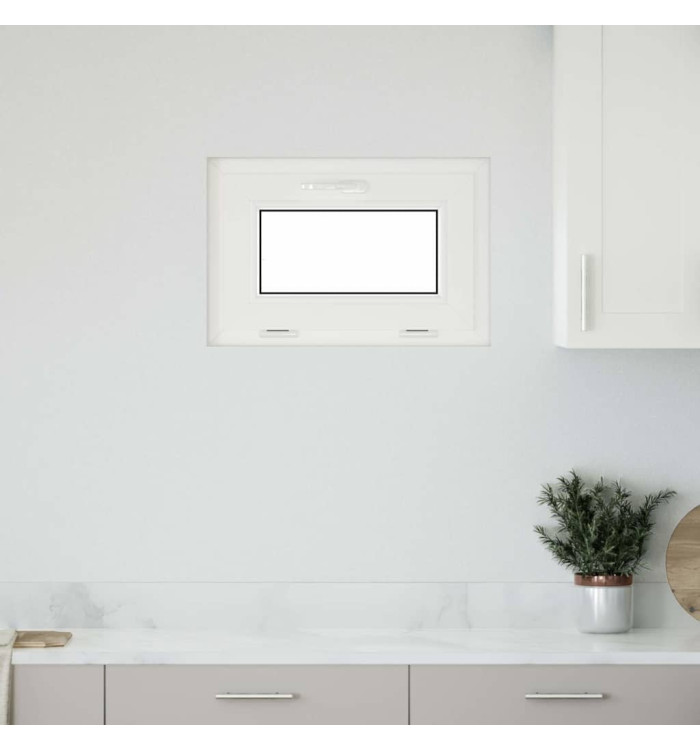 Fenêtre sous-sol RISOR 60x40 cm inclinable 2vitrages anthracite | Mobilier & Déco