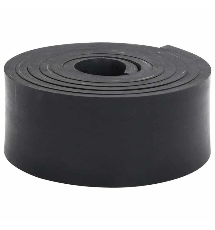 Bordure en caoutchouc de chasse-neige noir 250x10x1 cm | Mobilier & Déco