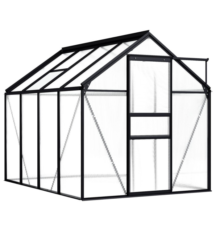 Serre Anthracite Aluminium 4,75 m² | Mobilier & Déco