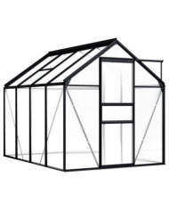 Serre Anthracite Aluminium 4,75 m² | Mobilier & Déco