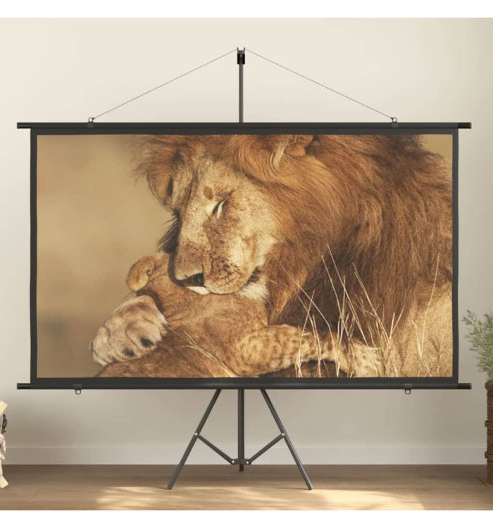Écran de projection avec trépied 90" 16:9 | Mobilier & Déco