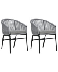 Chaises de jardin lot de 2 Anthracite Rotin PE | Mobilier & Déco