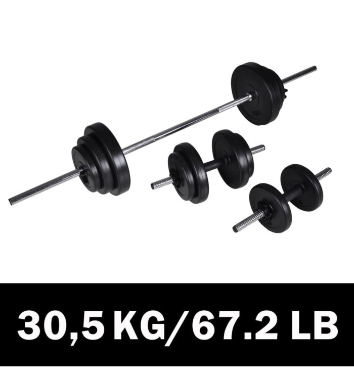 Kit de barre d'haltère et 2 haltères 30,5 kg | Mobilier & Déco