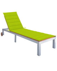 Chaise longue avec coussin Bois d'acacia et acier galvanisé | Mobilier & Déco