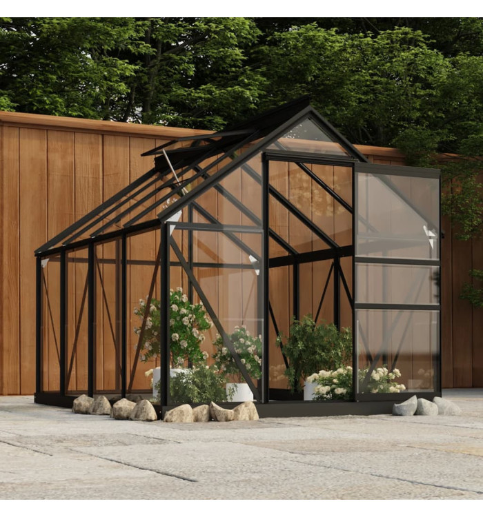 Serre en verre Anthracite 155x200,5x191 cm Aluminium | Mobilier & Déco