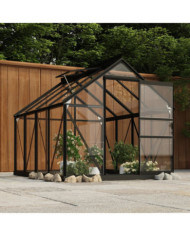 Serre en verre Anthracite 155x200,5x191 cm Aluminium | Mobilier & Déco