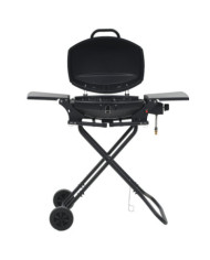Barbecue au gaz portatif avec zone de cuisson Noir | Mobilier & Déco