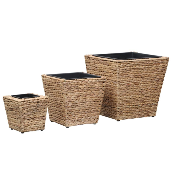 Lits surélevés 3 pcs Jacinthe d'eau | Mobilier & Déco