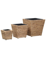 Lits surélevés 3 pcs Jacinthe d'eau | Mobilier & Déco