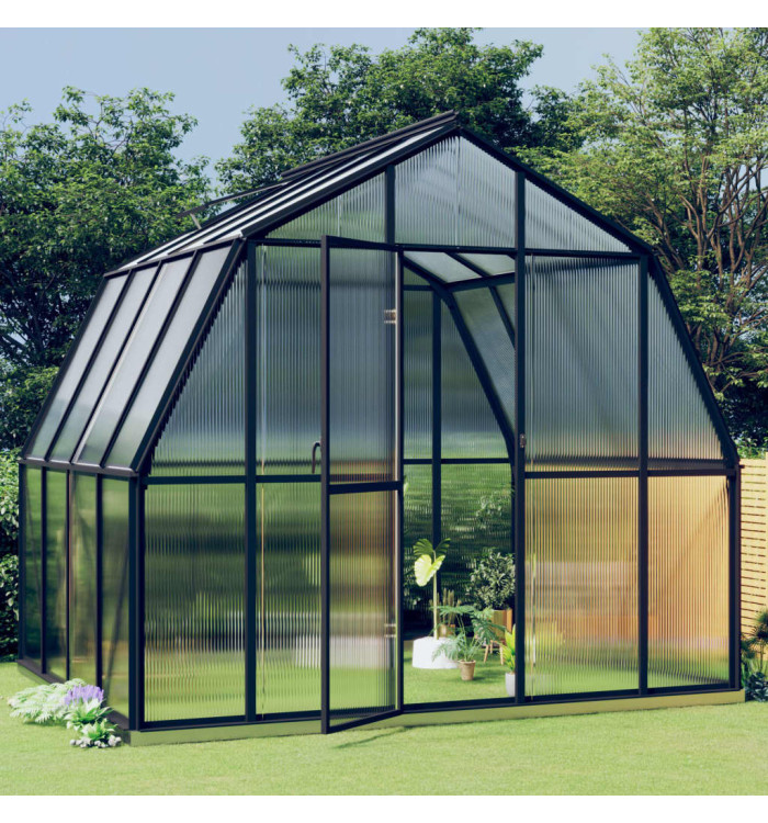Serre avec cadre de base anthracite 6,43 m² Aluminium | Mobilier & Déco