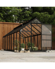 Serre en verre Anthracite 155x395,5x191 cm Aluminium | Mobilier & Déco