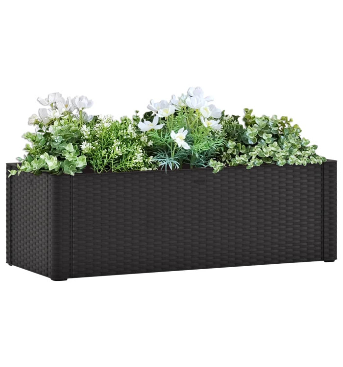 Lit surélevé de jardin système arrosage Anthracite 100x43x33 cm | Mobilier & Déco