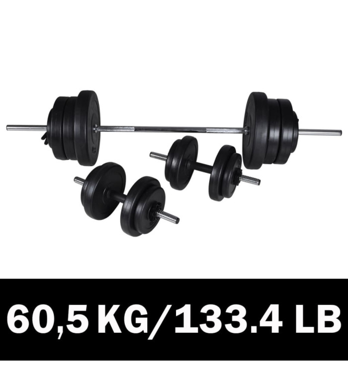 Kit de barre d'haltère et 2 haltères 60,5 kg | Mobilier & Déco