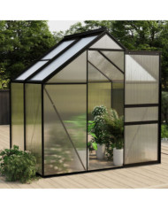 Serre Anthracite Aluminium 2,47 m² | Mobilier & Déco
