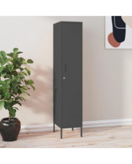 Armoire à casiers Anthracite 35x46x180 cm Acier | Mobilier & Déco