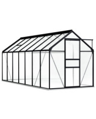 Serre avec cadre de base Anthracite Aluminium 8,17 m² | Mobilier & Déco