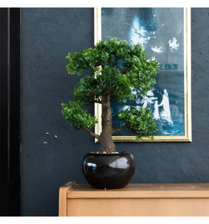 Emerald Mini bonsaï Ficus artificiel Vert 47 cm 420006 | Mobilier & Déco
