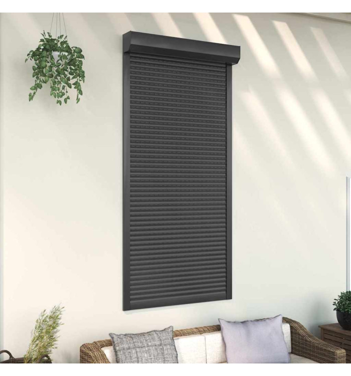 Volet roulant aluminium 100x210 cm anthracite | Mobilier & Déco