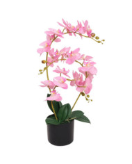 Plante artificielle avec pot Orchidée 65 cm Rose | Mobilier & Déco