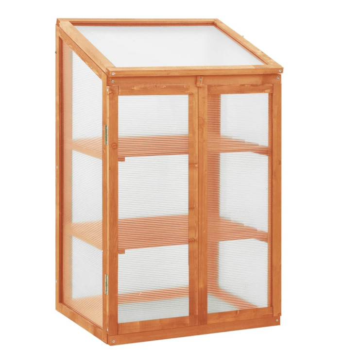 Serre 60x45x100 cm Bois de sapin | Mobilier & Déco