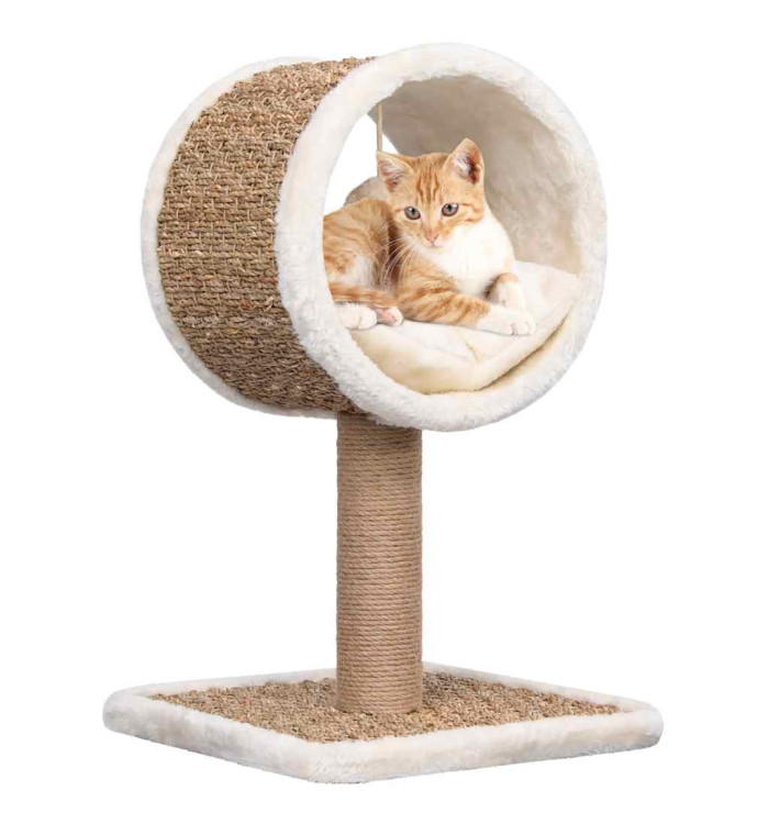 Arbre à chat et tunnel supérieur et jouet 56 cm Herbiers marins | Mobilier & Déco
