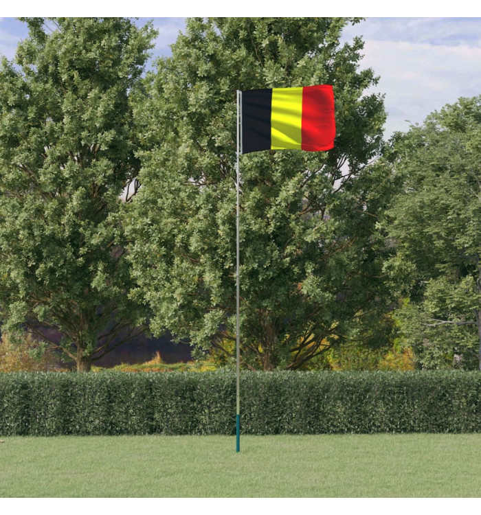 Drapeau de la Belgique et mât 5,55 m Aluminium | Mobilier & Déco