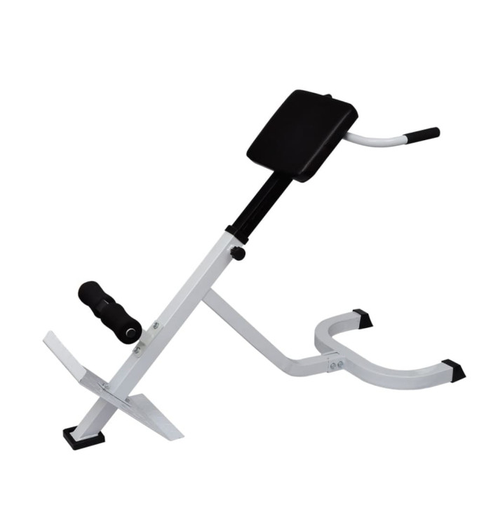 Banc de musculation du dos | Mobilier & Déco