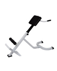 Banc de musculation du dos | Mobilier & Déco
