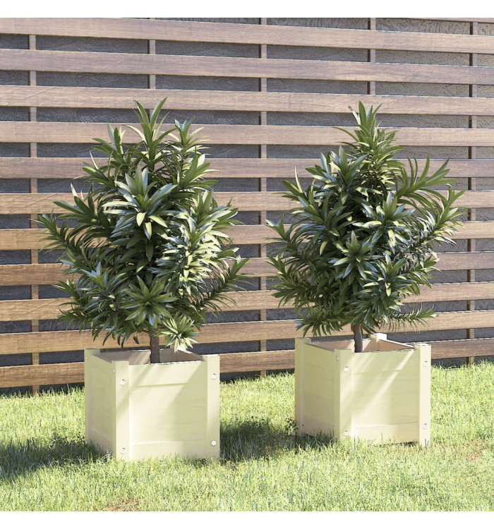 Jardinières 2 pcs Blanc 31x31x31 cm Bois de pin massif | Mobilier & Déco