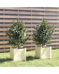 Jardinières 2 pcs Blanc 31x31x31 cm Bois de pin massif | Mobilier & Déco