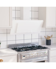 Hotte murale 90 cm Acier inoxydable et verre trempé Blanc | Mobilier & Déco