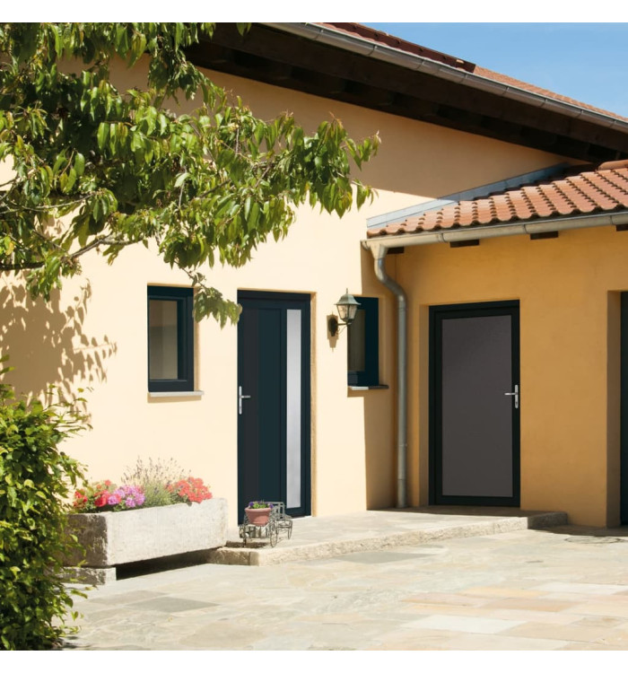 Porte d'entrée anthracite 98x208 cm PVC | Mobilier & Déco