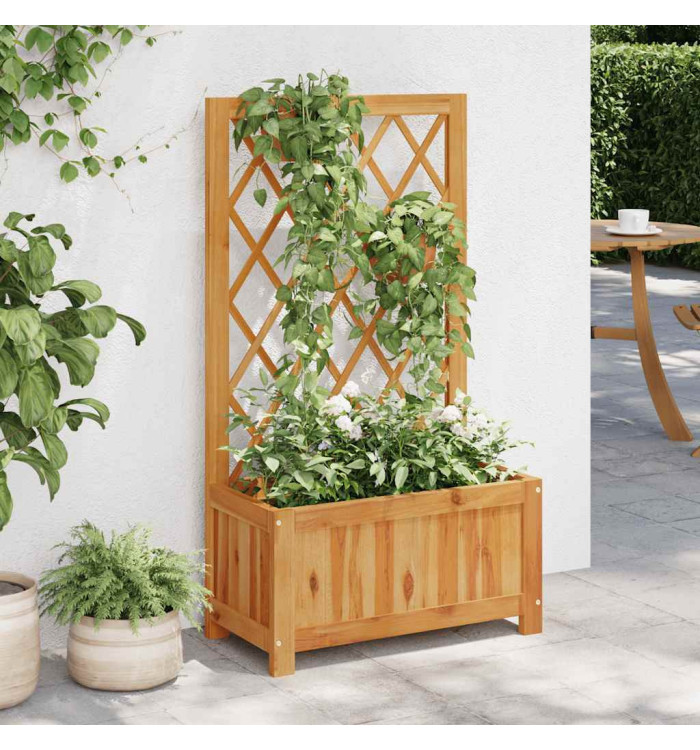 Lit surélevé de jardin avec treillis Bois massif d'acacia | Mobilier & Déco