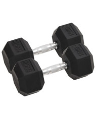 Haltères 2 pcs 30 kg Fonte | Mobilier & Déco