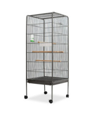 Cage à oiseaux Noir 54 x 54 x 146 cm Acier | Mobilier & Déco