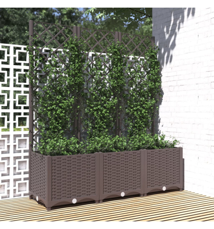 Jardinière avec treillis Marron 120x40x136 cm PP | Mobilier & Déco