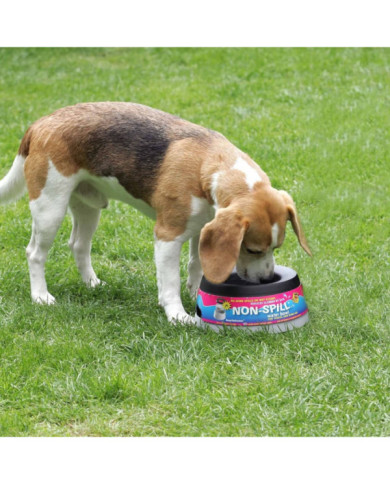 Road Refresher Bol à eau pour animaux de compagnie L Gris LGRR | Mobilier & Déco