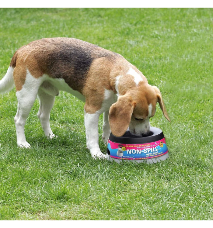 Road Refresher Bol à eau pour animaux de compagnie L Gris LGRR | Mobilier & Déco