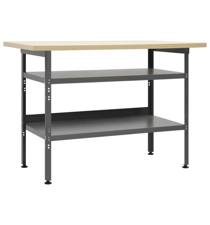 Établi Gris 120x60x85 cm Acier | Mobilier & Déco