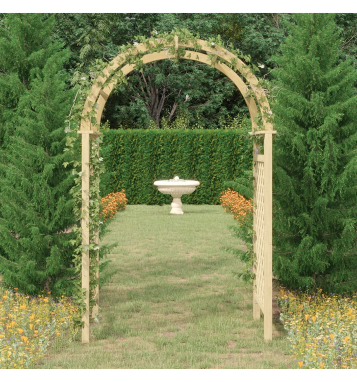 Arche avec treillis 141x97x243 cm Bois de pin massif imprégné | Mobilier & Déco