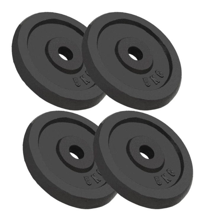 Plaque de poids 4 pcs 4x5 kg Fonte | Mobilier & Déco