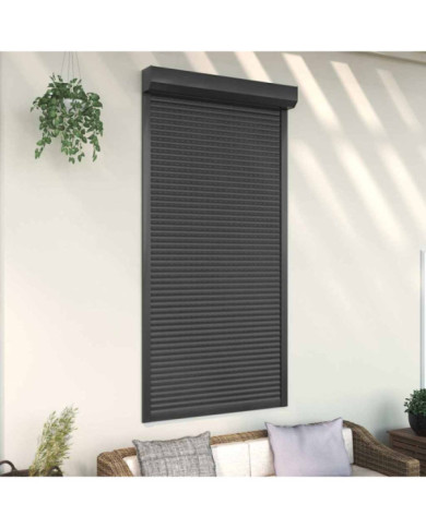 Volet roulant aluminium 110x220 cm anthracite | Mobilier & Déco