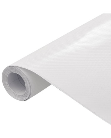 Films 4D de voiture 2 pcs Blanc 100x150 cm | Mobilier & Déco
