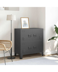 Coffre de rangement industriel Anthracite 75x40x80 cm Acier | Mobilier & Déco
