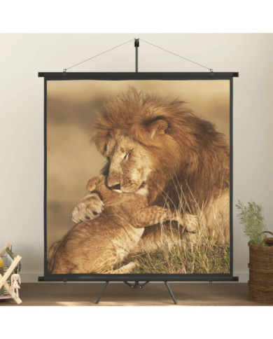 Écran de projection avec trépied 81" 1:1 | Mobilier & Déco