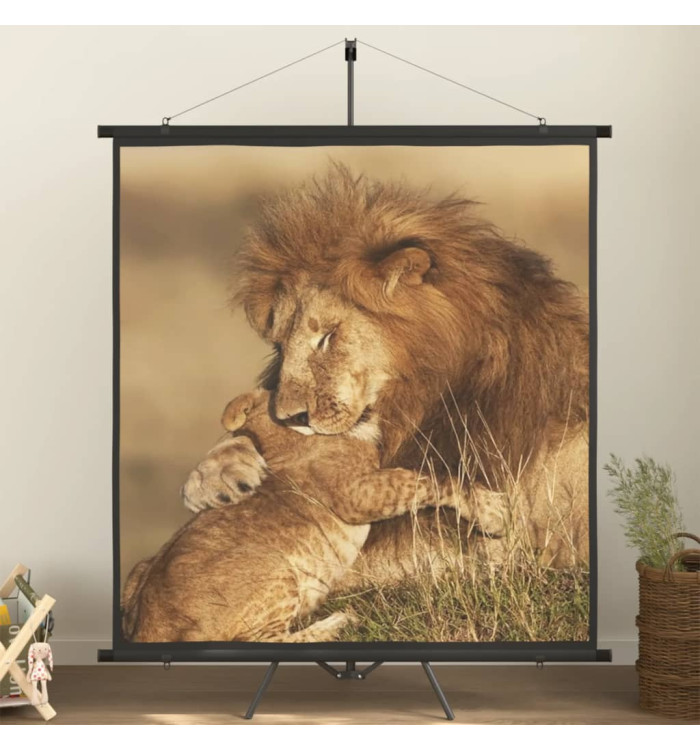 Écran de projection avec trépied 81" 1:1 | Mobilier & Déco