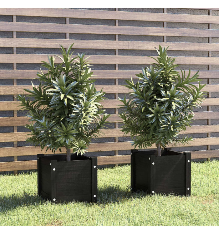 Jardinières d'extérieur 2 pcs Noir 31x31x31 cm Bois de pin | Mobilier & Déco