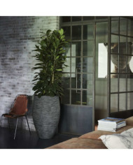 Capi Pot à fleurs Nature Rib élégant Deluxe 45x72 cm Anthracite | Mobilier & Déco