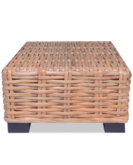 Table basse Rotin naturel 45x45x30 cm | Mobilier & Déco