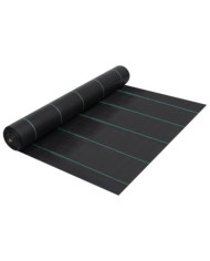 Toile de paillage Noir 2x5 m PP | Mobilier & Déco